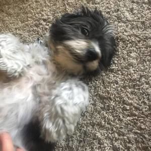 Meet your Posher, Kathi